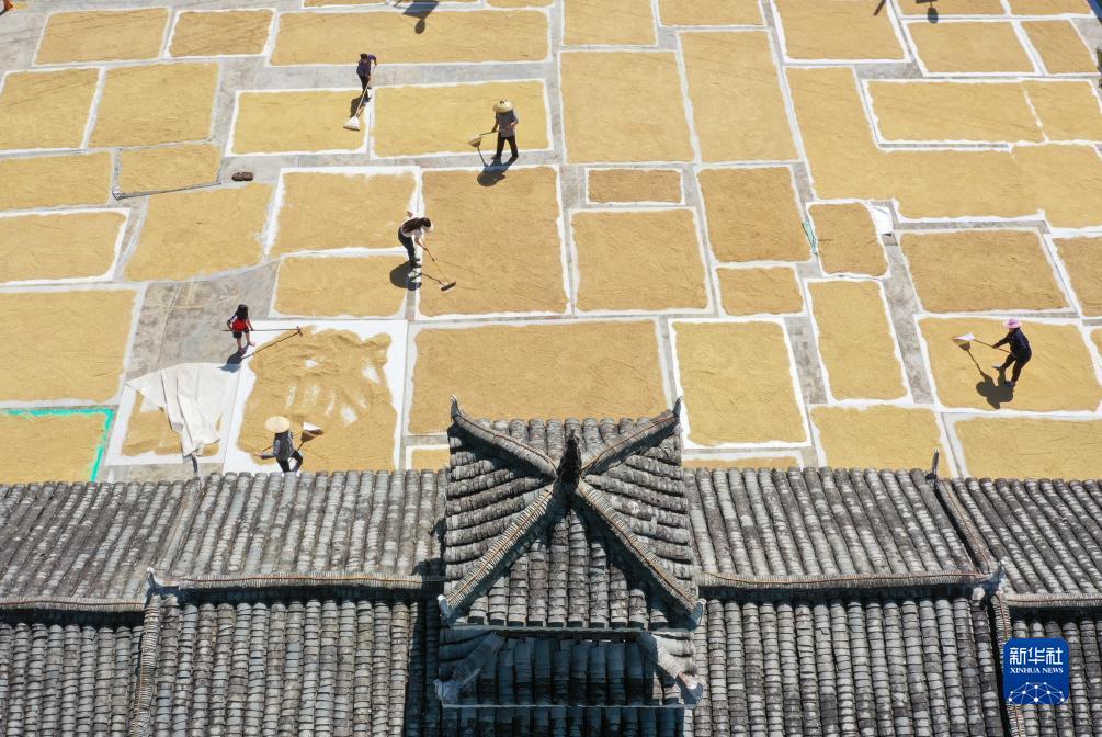 威尼斯wns·8885566